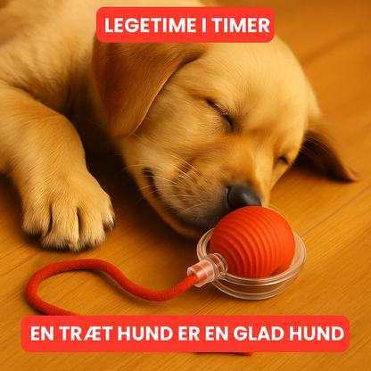 PoteBold™ | Interaktiv legebold til hunde og katte